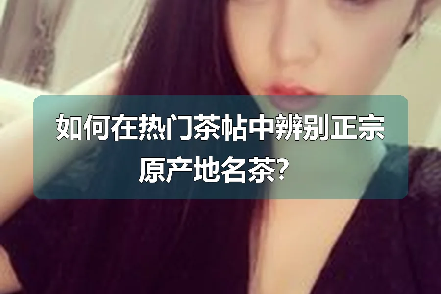 如何在热门茶帖中辨别正宗原产地名茶？